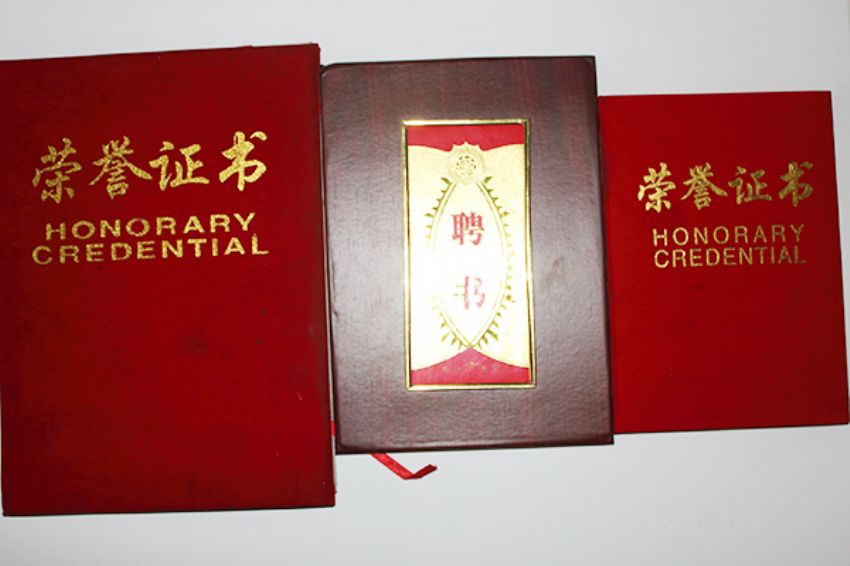 點擊查看詳細信息<br>標題：東華職業培訓學校榮譽 閱讀次數：5043